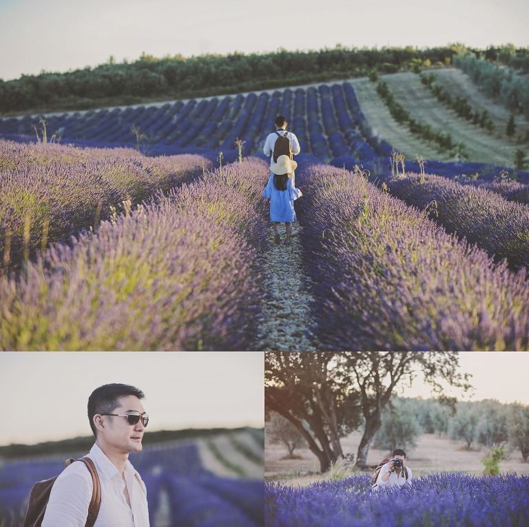 GREY MOSS : summer in provence! more photos in the journal! https://greymoss.com/summer-in-provence-part-two