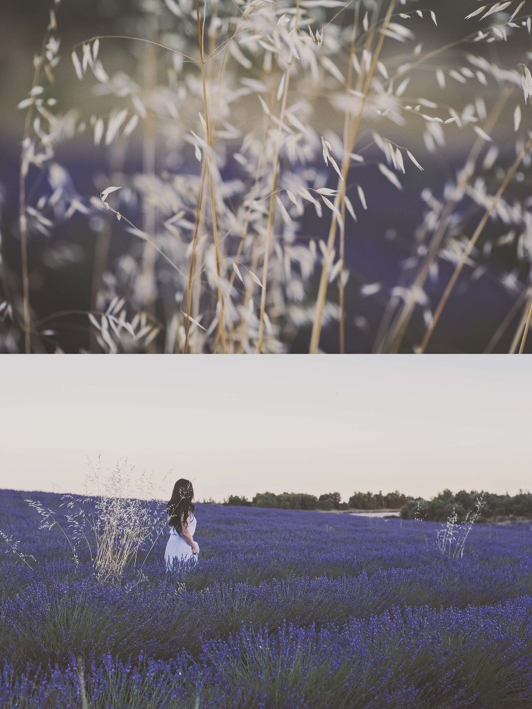 GREY MOSS : summer in provence! more photos in the journal! https://greymoss.com/summer-in-provence-part-two