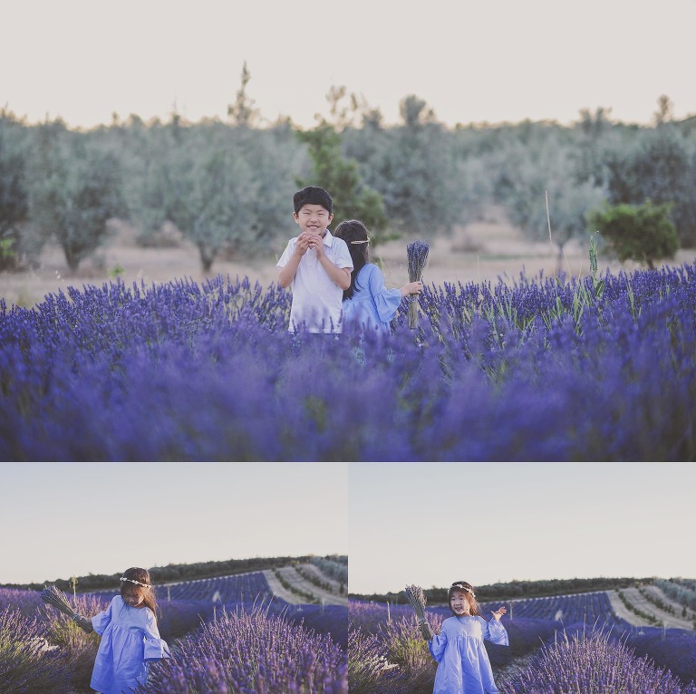 GREY MOSS : summer in provence! more photos in the journal! https://greymoss.com/summer-in-provence-part-two