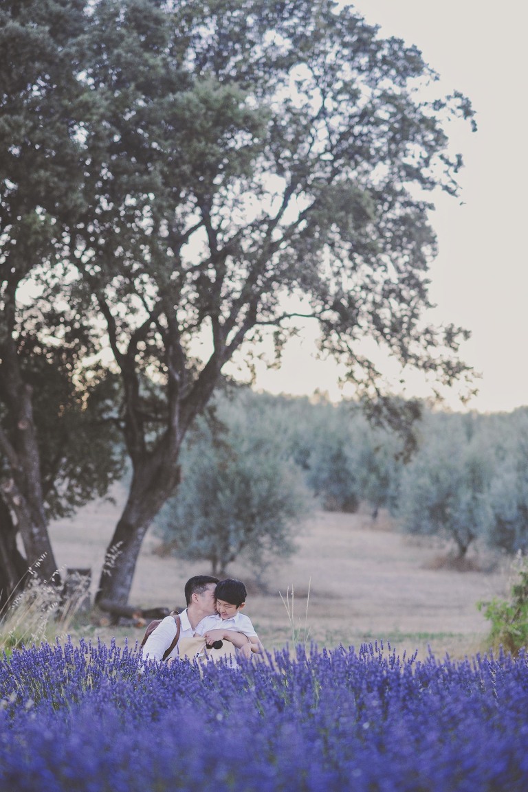 GREY MOSS : summer in provence! more photos in the journal! https://greymoss.com/summer-in-provence-part-two