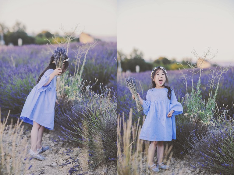 GREY MOSS : summer in provence! more photos in the journal! https://greymoss.com/summer-in-provence-part-two