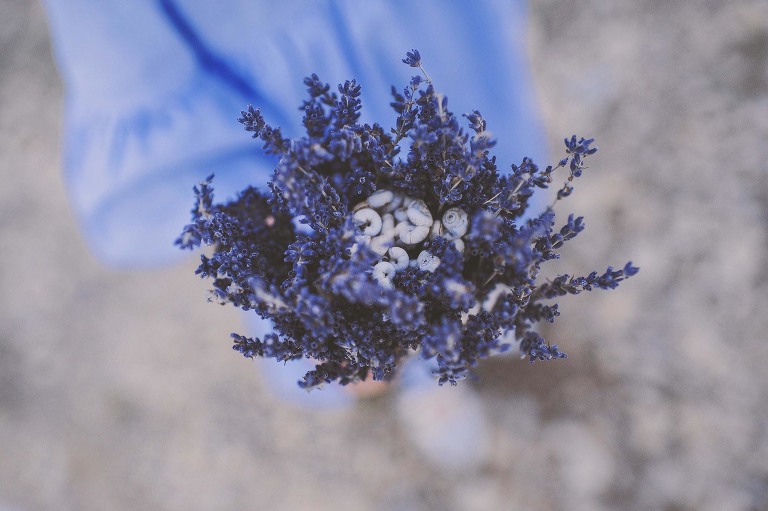 GREY MOSS : summer in provence! more photos in the journal! https://greymoss.com/summer-in-provence-part-two