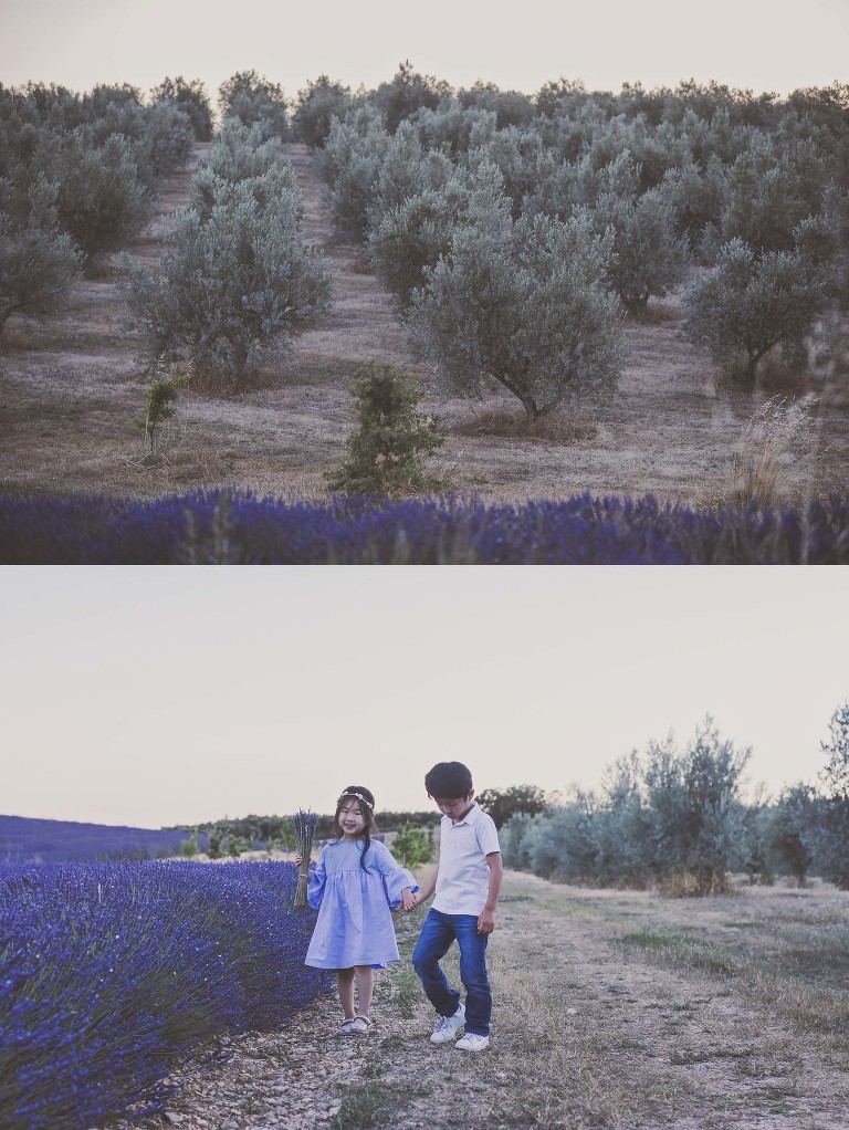 GREY MOSS : summer in provence! more photos in the journal! https://greymoss.com/summer-in-provence-part-two