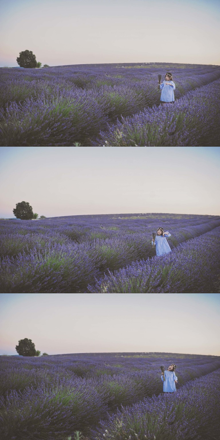 GREY MOSS : summer in provence! more photos in the journal! https://greymoss.com/summer-in-provence-part-two