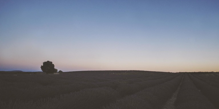 GREY MOSS : summer in provence! more photos in the journal! https://greymoss.com/summer-in-provence-part-two