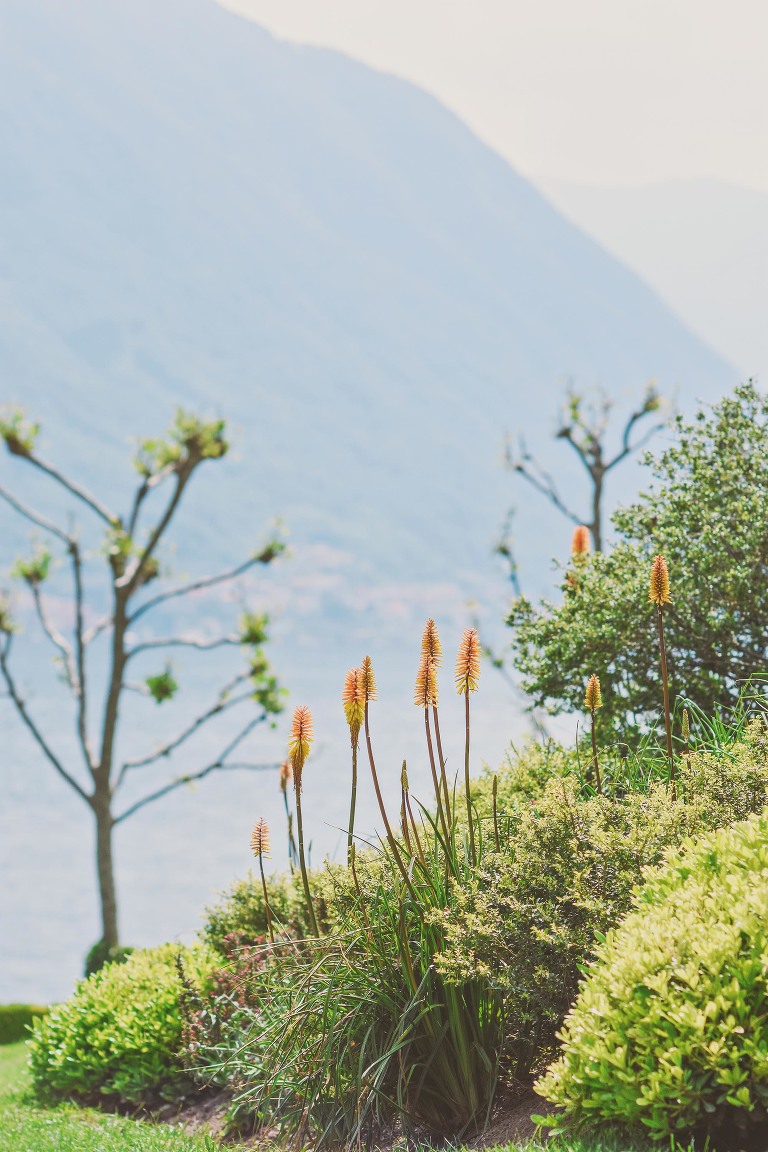 GREY MOSS : lake como, italy! more photos in the journal! https://greymoss.com/weekend-at-lake-como-italy-villa-del-balbianello/