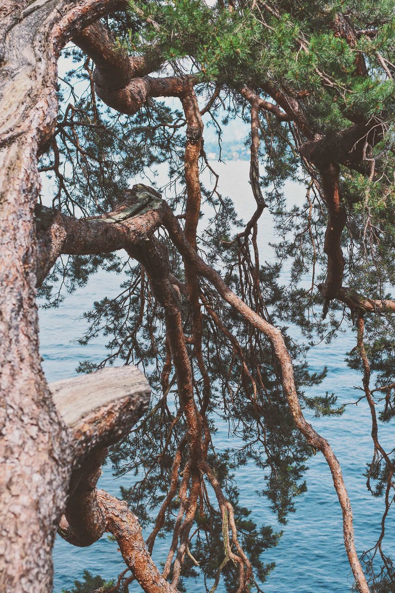 GREY MOSS : lake como, italy! more photos in the journal! https://greymoss.com/weekend-at-lake-como-italy-villa-del-balbianello/