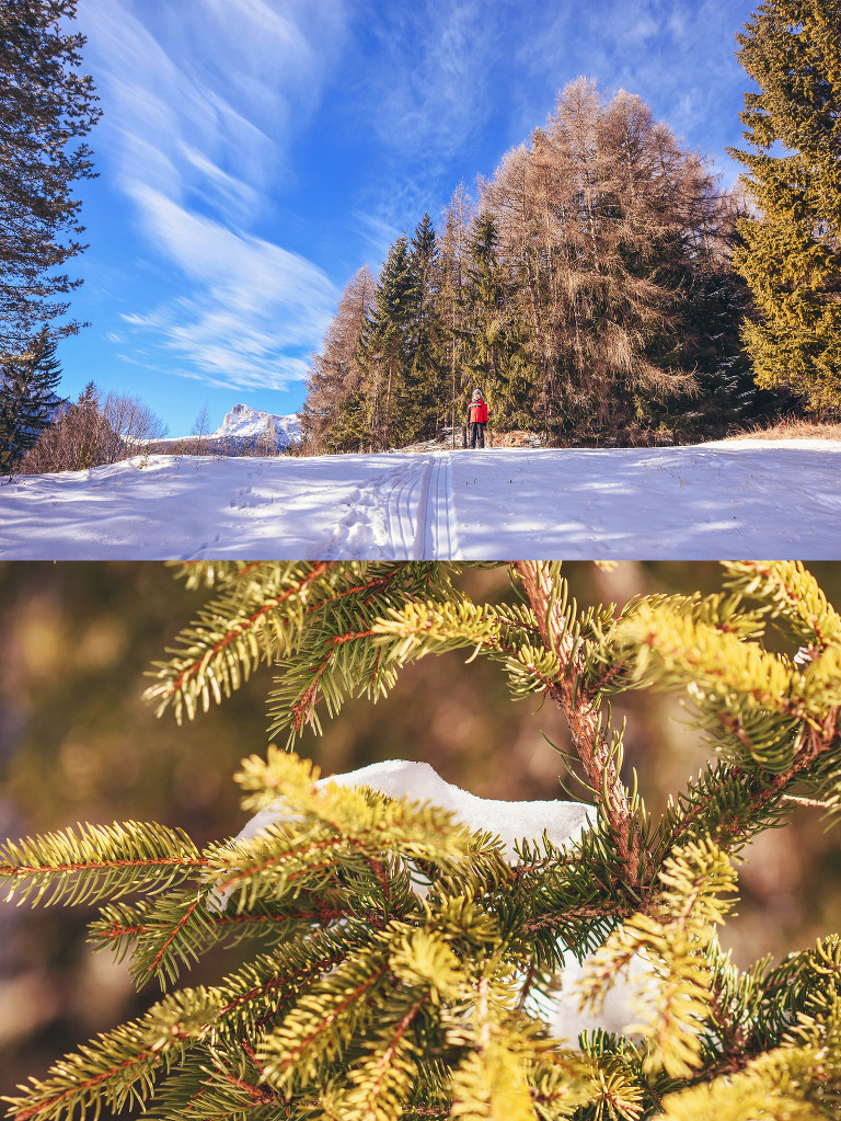 weekend ski trip to cortina d’ampezzo, ITALY! more photos in the journal! https://greymoss.com/cortina-italy-su…sunrise-sledding