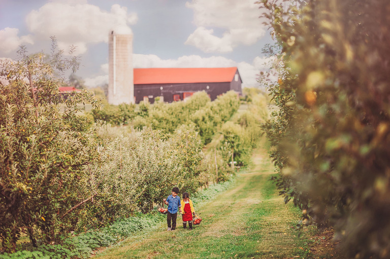 GREY MOSS : apple picking at evans orchard! more photos in the journal! https://greymoss.com/apple_picking_at_evans_orchard