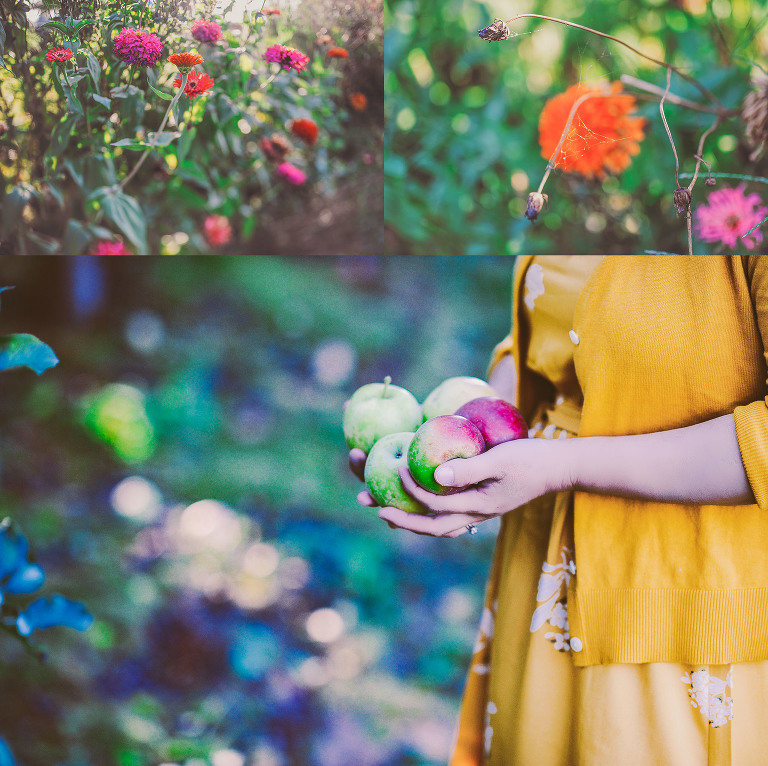 GREY MOSS : apple picking at evans orchard! more photos in the journal! https://greymoss.com/apple_picking_at_evans_orchard