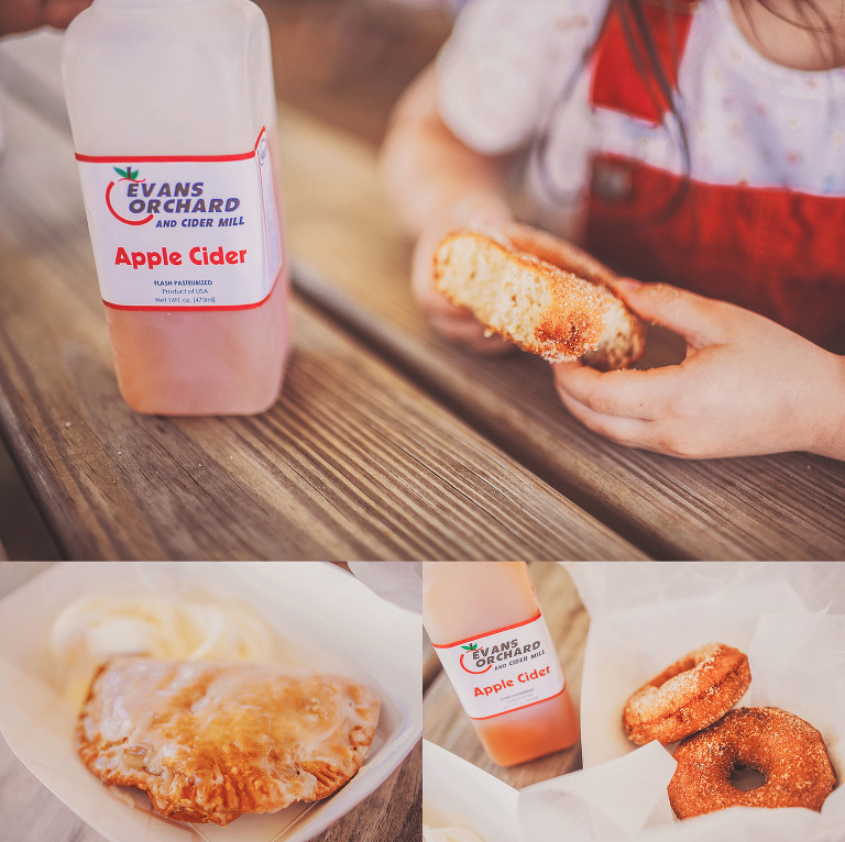 GREY MOSS : apple picking at evans orchard! more photos in the journal! https://greymoss.com/apple_picking_at_evans_orchard