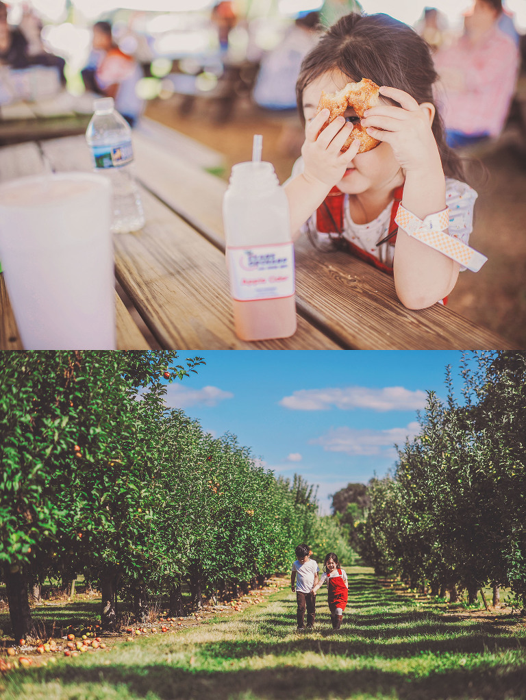 GREY MOSS : apple picking at evans orchard! more photos in the journal! https://greymoss.com/apple_picking_at_evans_orchard