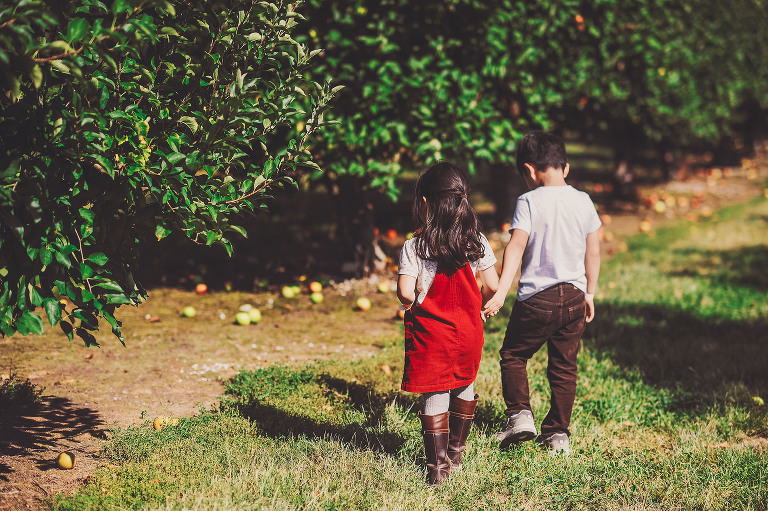 GREY MOSS : apple picking at evans orchard! more photos in the journal! https://greymoss.com/apple_picking_at_evans_orchard