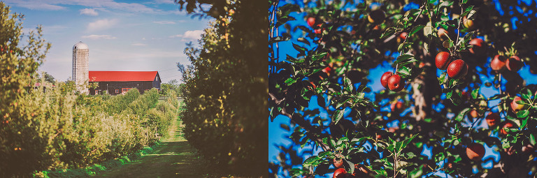 GREY MOSS : apple picking at evans orchard! more photos in the journal! https://greymoss.com/apple_picking_at_evans_orchard
