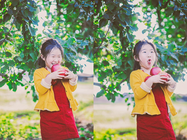 GREY MOSS : apple picking at evans orchard! more photos in the journal! https://greymoss.com/apple_picking_at_evans_orchard