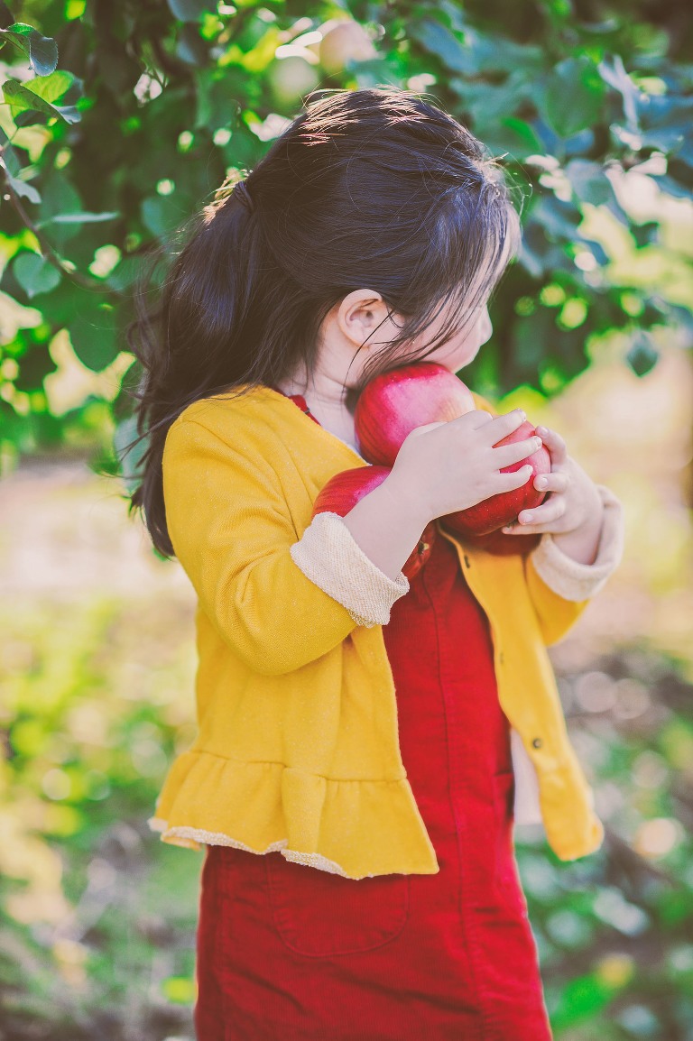 GREY MOSS : apple picking at evans orchard! more photos in the journal! https://greymoss.com/apple_picking_at_evans_orchard