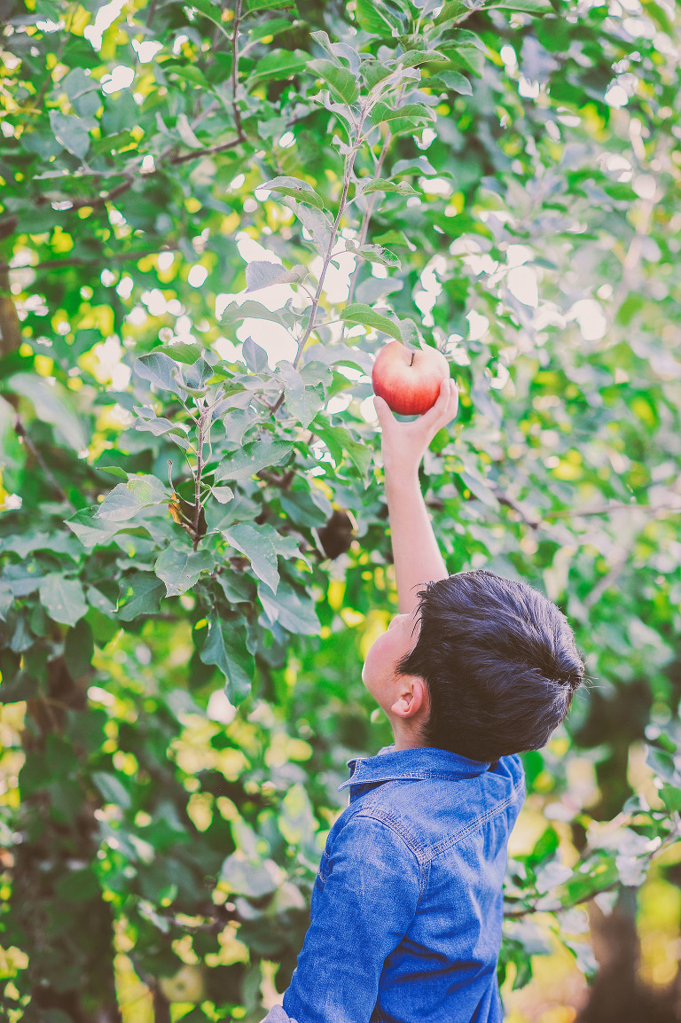 GREY MOSS : apple picking at evans orchard! more photos in the journal! https://greymoss.com/apple_picking_at_evans_orchard