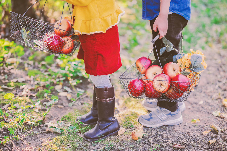 GREY MOSS : apple picking at evans orchard! more photos in the journal! https://greymoss.com/apple_picking_at_evans_orchard