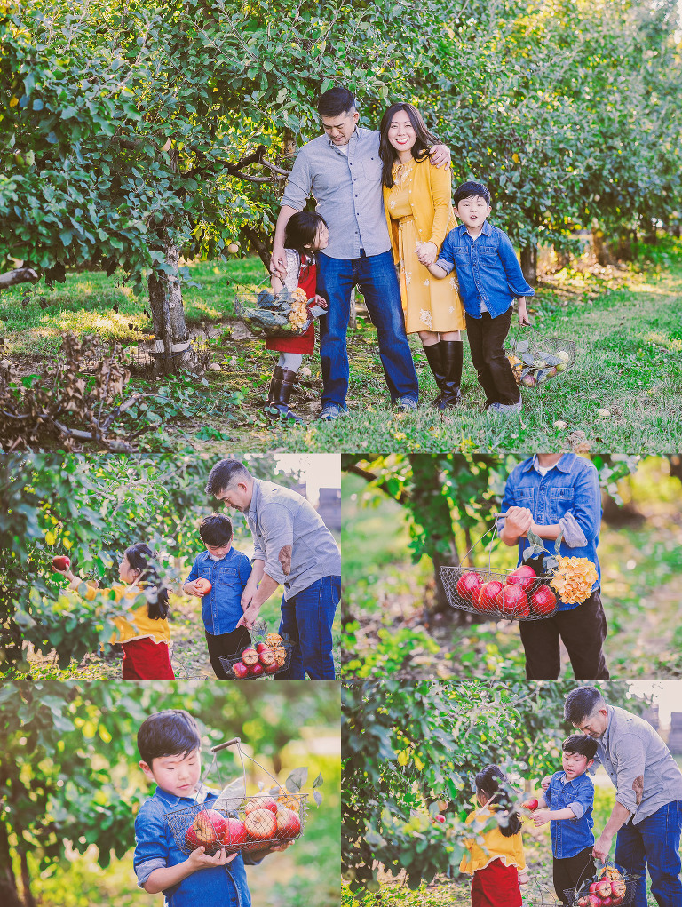 GREY MOSS : apple picking at evans orchard! more photos in the journal! https://greymoss.com/apple_picking_at_evans_orchard