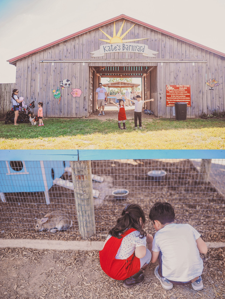 GREY MOSS : apple picking at evans orchard! more photos in the journal! https://greymoss.com/apple_picking_at_evans_orchard