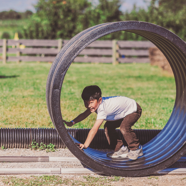 GREY MOSS : apple picking at evans orchard! more photos in the journal! https://greymoss.com/apple_picking_at_evans_orchard