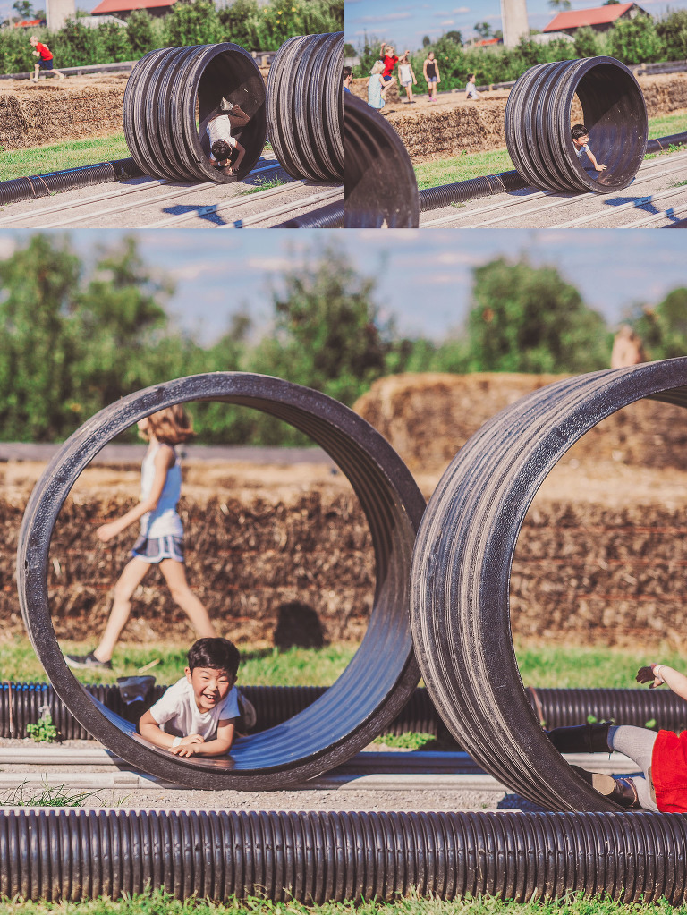 GREY MOSS : apple picking at evans orchard! more photos in the journal! https://greymoss.com/apple_picking_at_evans_orchard