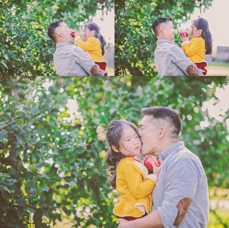 GREY MOSS : apple picking at evans orchard! more photos in the journal! https://greymoss.com/apple_picking_at_evans_orchard