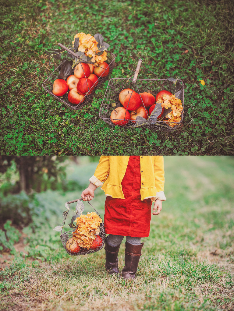 GREY MOSS : apple picking at evans orchard! more photos in the journal! https://greymoss.com/apple_picking_at_evans_orchard