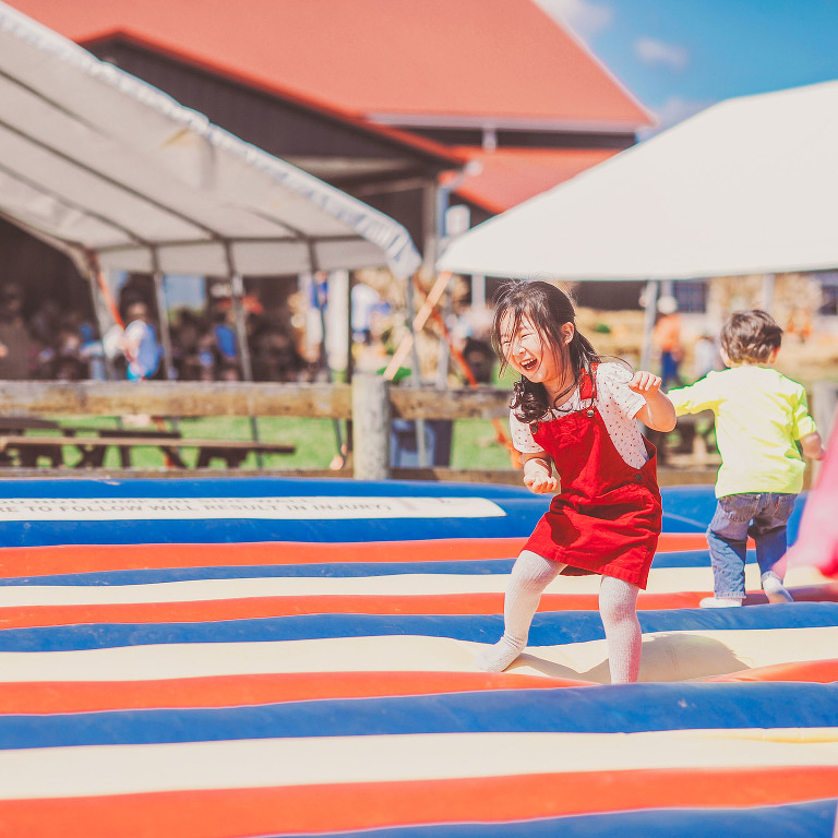 GREY MOSS : apple picking at evans orchard! more photos in the journal! https://greymoss.com/apple_picking_at_evans_orchard