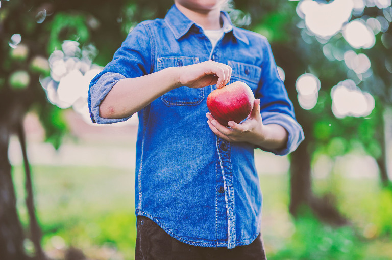 GREY MOSS : apple picking at evans orchard! more photos in the journal! https://greymoss.com/apple_picking_at_evans_orchard
