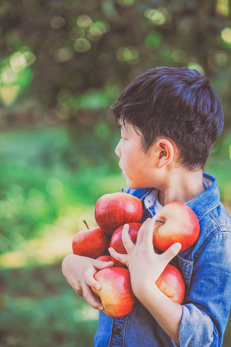 GREY MOSS : apple picking at evans orchard! more photos in the journal! https://greymoss.com/apple_picking_at_evans_orchard