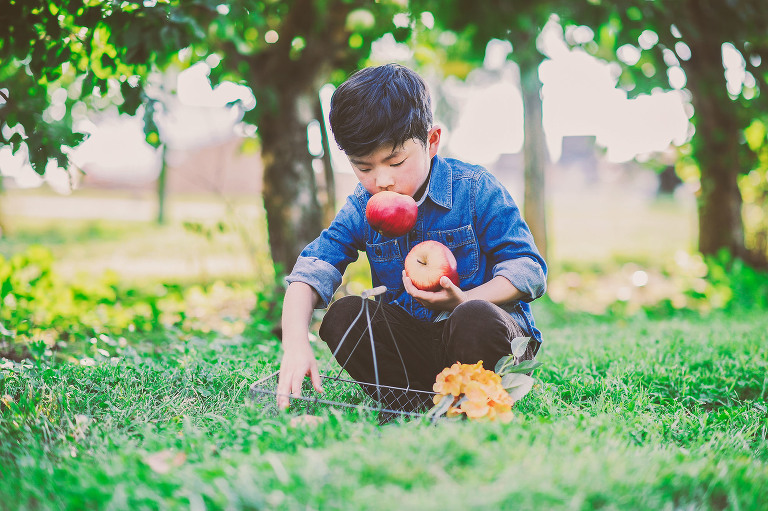 GREY MOSS : apple picking at evans orchard! more photos in the journal! https://greymoss.com/apple_picking_at_evans_orchard