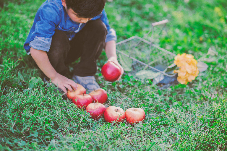 GREY MOSS : apple picking at evans orchard! more photos in the journal! https://greymoss.com/apple_picking_at_evans_orchard