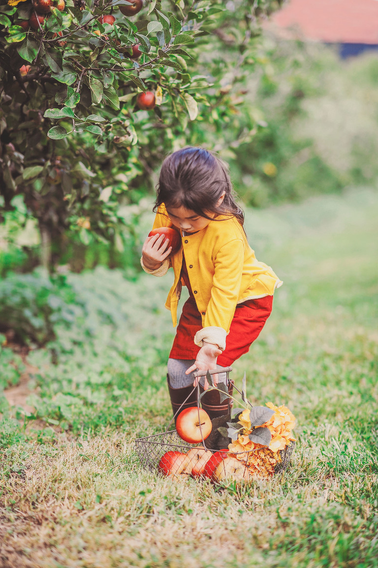 GREY MOSS : apple picking at evans orchard! more photos in the journal! https://greymoss.com/apple_picking_at_evans_orchard