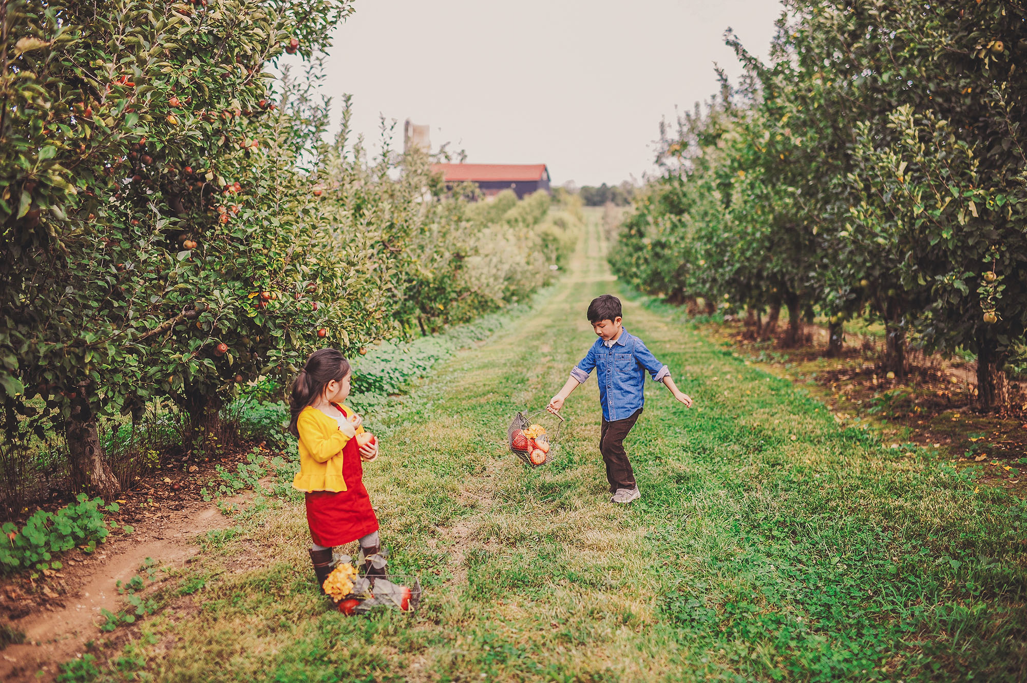 APPLE PICKING AT EVANS ORCHARD! » GREY MOSS.® READ OUR JOURNAL!