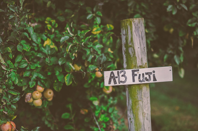 GREY MOSS : apple picking at evans orchard! more photos in the journal! https://greymoss.com/apple_picking_at_evans_orchard