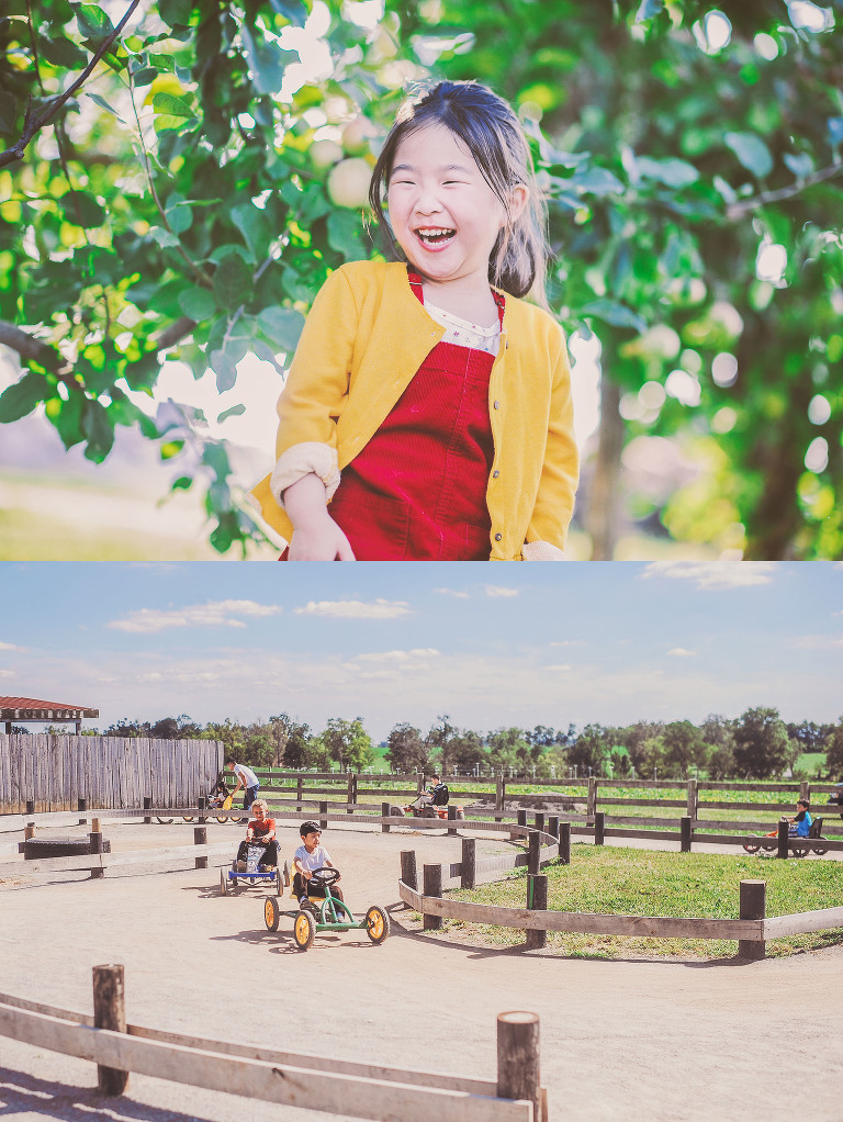 GREY MOSS : apple picking at evans orchard! more photos in the journal! https://greymoss.com/apple_picking_at_evans_orchard