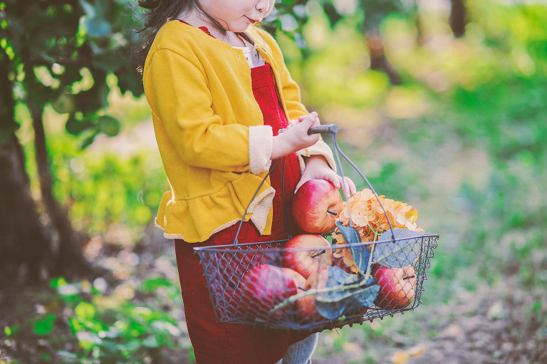 GREY MOSS : apple picking at evans orchard! more photos in the journal! https://greymoss.com/apple_picking_at_evans_orchard
