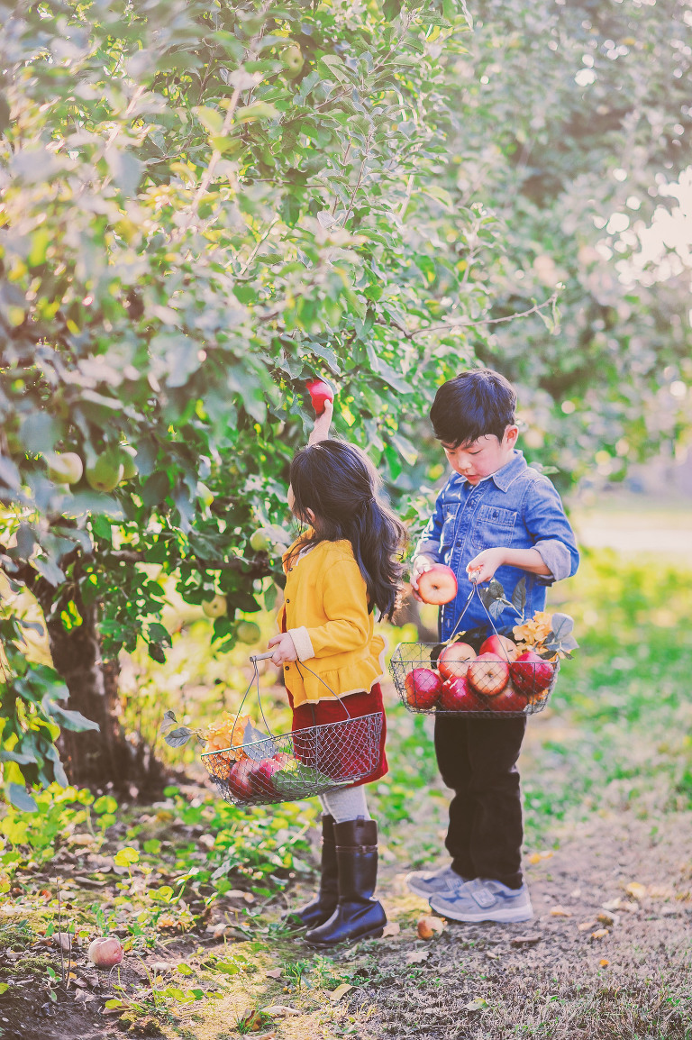 GREY MOSS : apple picking at evans orchard! more photos in the journal! https://greymoss.com/apple_picking_at_evans_orchard