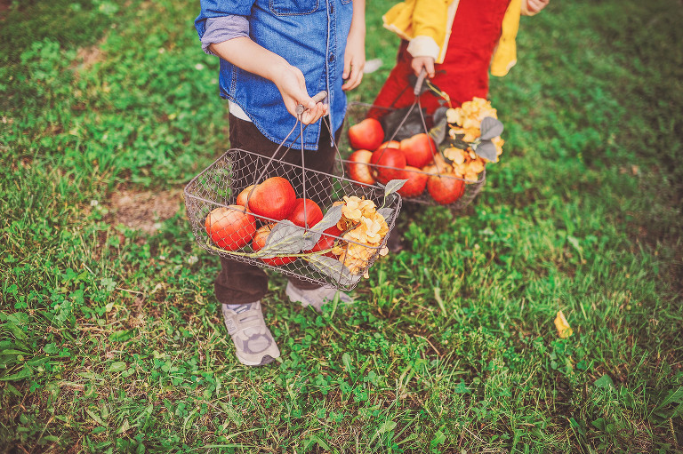 GREY MOSS : apple picking at evans orchard! more photos in the journal! https://greymoss.com/apple_picking_at_evans_orchard