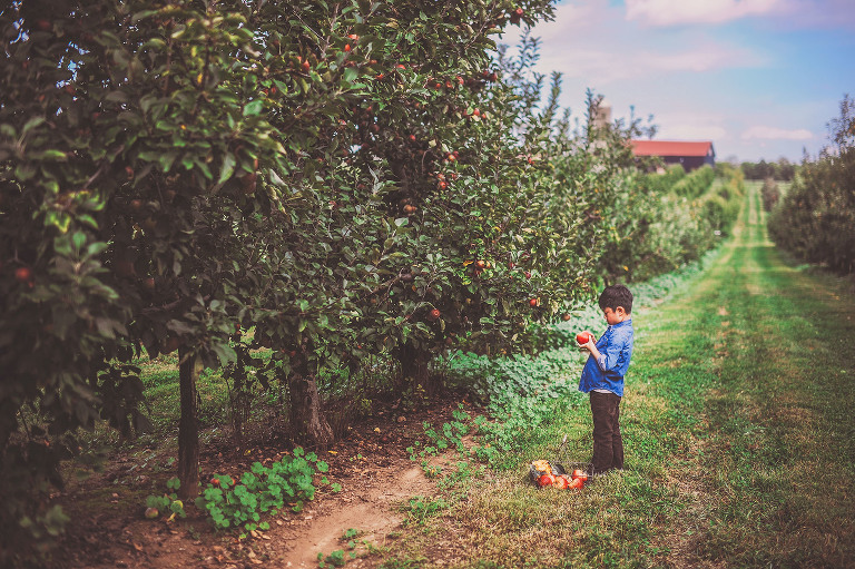 GREY MOSS : apple picking at evans orchard! more photos in the journal! https://greymoss.com/apple_picking_at_evans_orchard