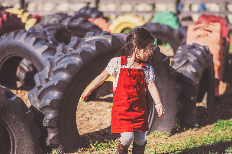 GREY MOSS : apple picking at evans orchard! more photos in the journal! https://greymoss.com/apple_picking_at_evans_orchard