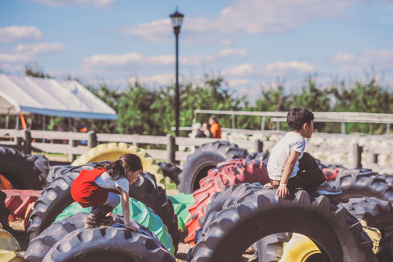 GREY MOSS : apple picking at evans orchard! more photos in the journal! https://greymoss.com/apple_picking_at_evans_orchard