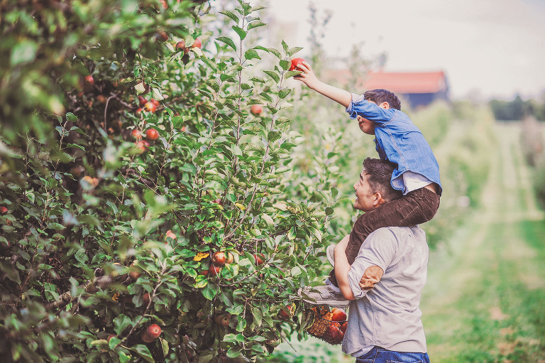 GREY MOSS : apple picking at evans orchard! more photos in the journal! https://greymoss.com/apple_picking_at_evans_orchard