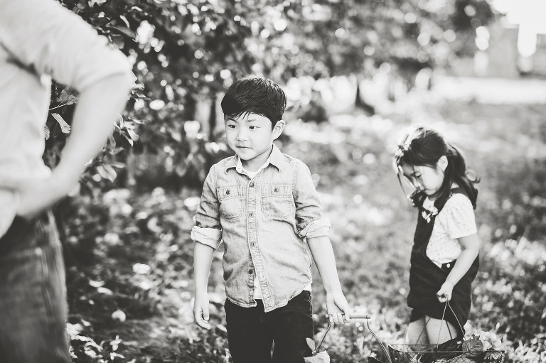 GREY MOSS : apple picking at evans orchard! more photos in the journal! https://greymoss.com/apple_picking_at_evans_orchard