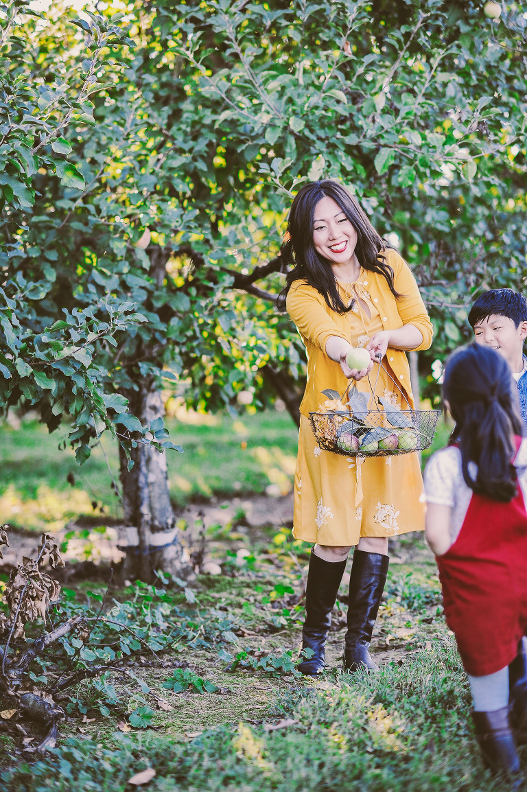 GREY MOSS : apple picking at evans orchard! more photos in the journal! https://greymoss.com/apple_picking_at_evans_orchard