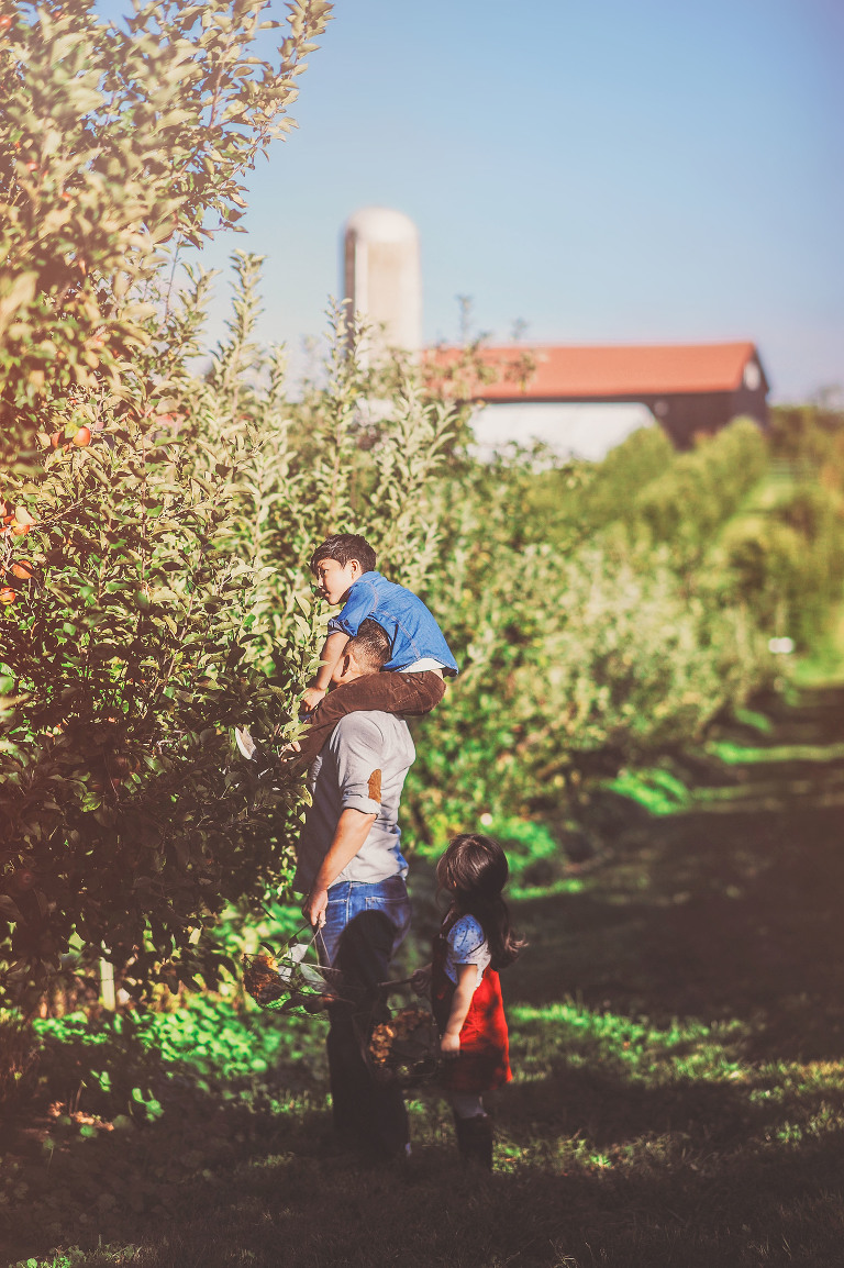 GREY MOSS : apple picking at evans orchard! more photos in the journal! https://greymoss.com/apple_picking_at_evans_orchard