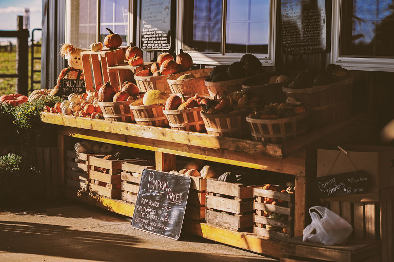 GREY MOSS : apple picking at evans orchard! more photos in the journal! https://greymoss.com/apple_picking_at_evans_orchard