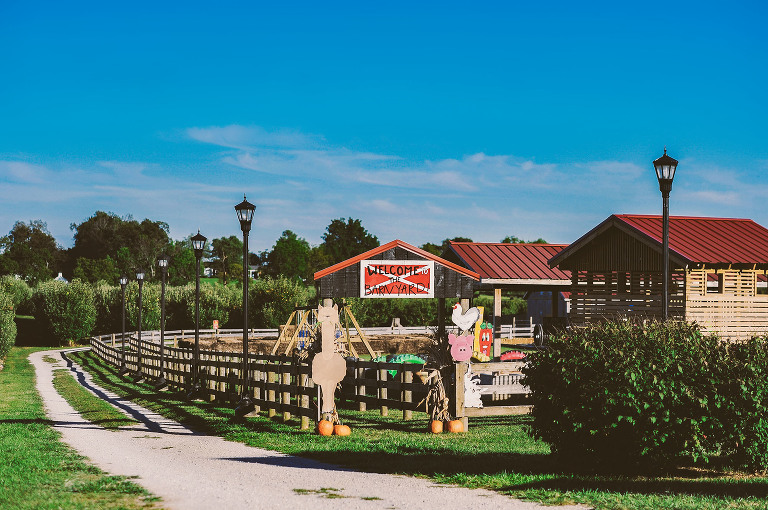 GREY MOSS : apple picking at evans orchard! more photos in the journal! https://greymoss.com/apple_picking_at_evans_orchard