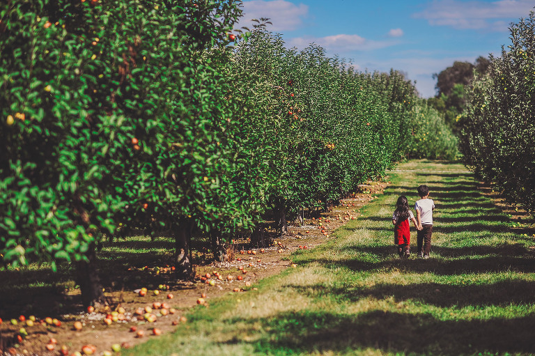 APPLE PICKING AT EVANS ORCHARD! » GREY MOSS.® READ OUR JOURNAL!